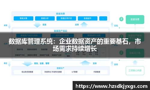 数据库管理系统：企业数据资产的重要基石，市场需求持续增长