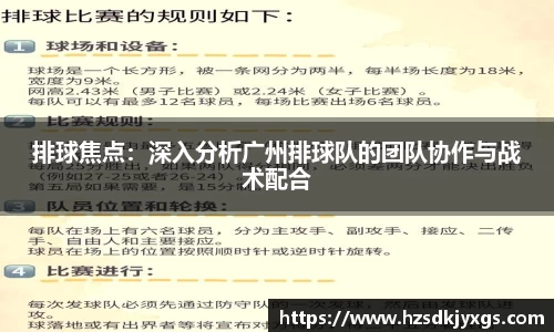 排球焦点：深入分析广州排球队的团队协作与战术配合