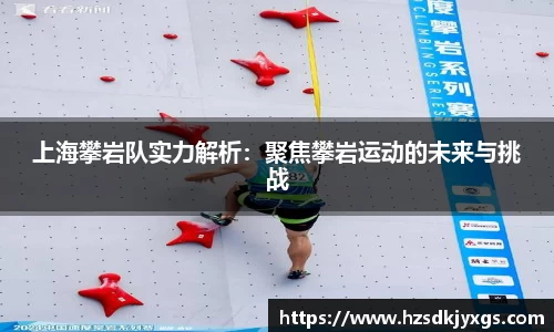上海攀岩队实力解析：聚焦攀岩运动的未来与挑战