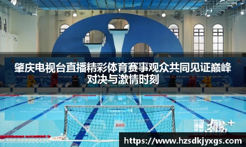 肇庆电视台直播精彩体育赛事观众共同见证巅峰对决与激情时刻